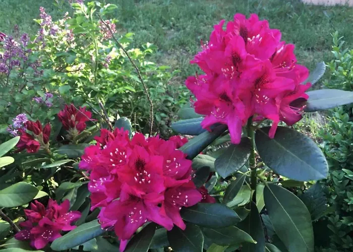 Havel River Houseboat بوتيل