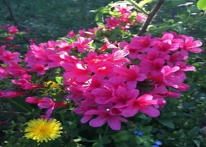 بوتيل Havel River Houseboat تسيهدينك