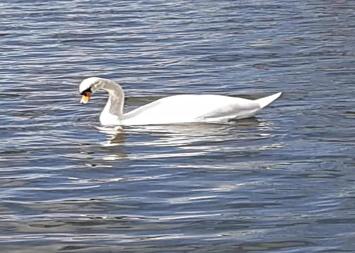 Havel River Houseboat