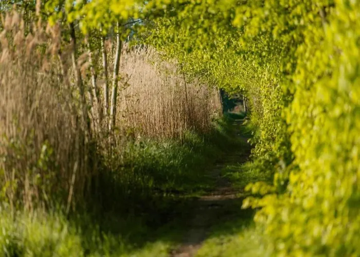 Havel River Houseboat * تسيهدينك